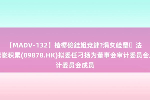 【MADV-132】楂樼礆銈姐兗銉?涓夊崄璺法 汇邃晓积累(09878.HK)拟委任刁扬为董事会审计委员会成员