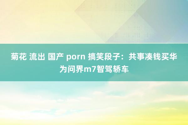 菊花 流出 国产 porn 搞笑段子：共事凑钱买华为问界m7智驾轿车