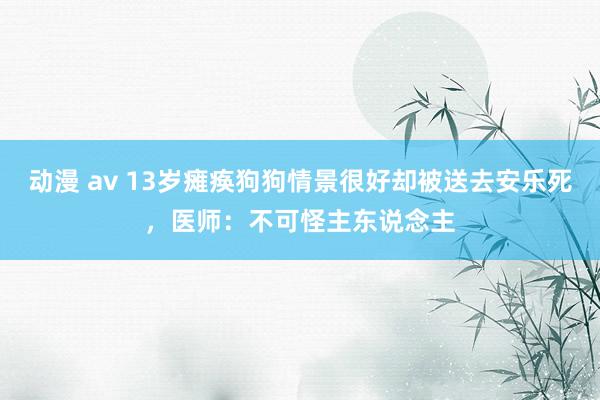 动漫 av 13岁瘫痪狗狗情景很好却被送去安乐死，医师：不可怪主东说念主