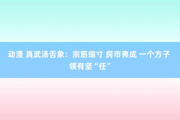 动漫 真武汤舌象：宗筋缩寸 房市弗成 一个方子 领有坚“任”