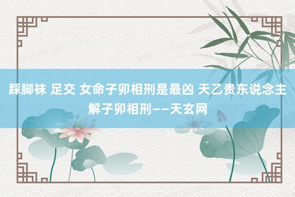 踩脚袜 足交 女命子卯相刑是最凶 天乙贵东说念主解子卯相刑——天玄网