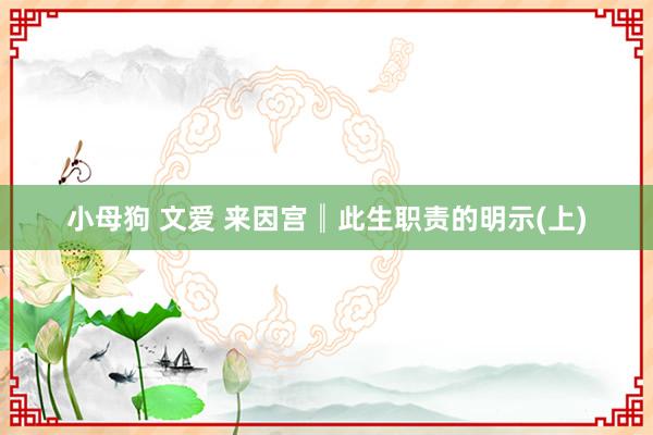 小母狗 文爱 来因宫║此生职责的明示(上)