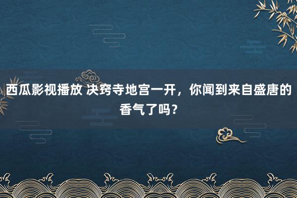 西瓜影视播放 决窍寺地宫一开，你闻到来自盛唐的香气了吗？