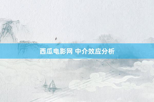 西瓜电影网 中介效应分析