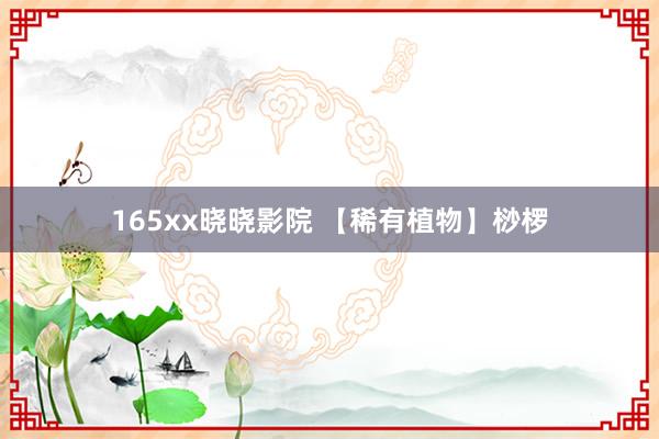 165xx晓晓影院 【稀有植物】桫椤
