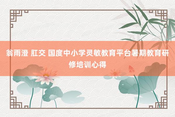 翁雨澄 肛交 国度中小学灵敏教育平台暑期教育研修培训心得